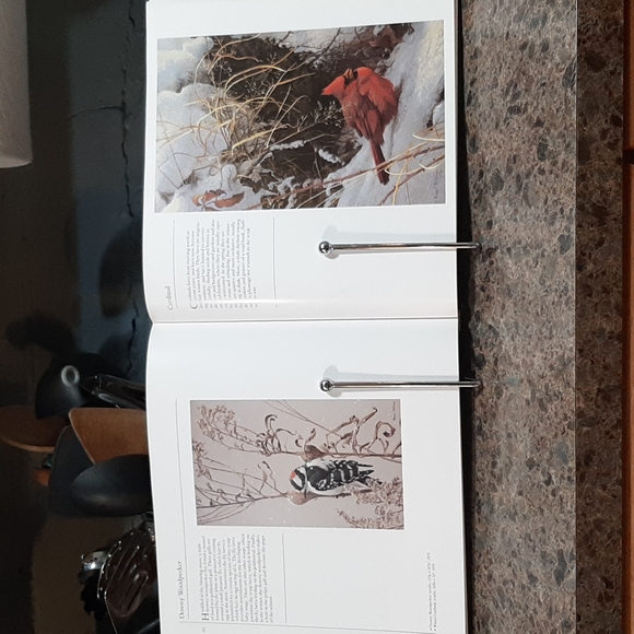 Bookstand - Picture 1 of 4